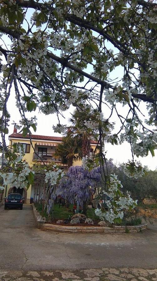 Appartamento App Carla Novigrad Istria Esterno foto