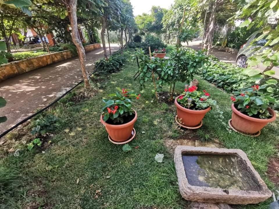 Appartamento App Carla Novigrad Istria Esterno foto