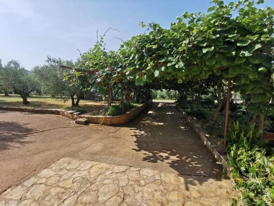 Appartamento App Carla Novigrad Istria Esterno foto