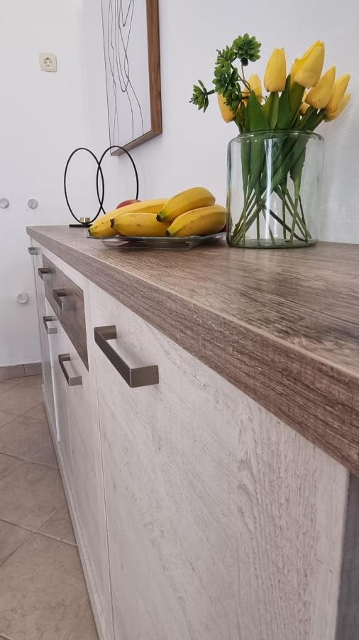 Appartamento App Carla Novigrad Istria Esterno foto